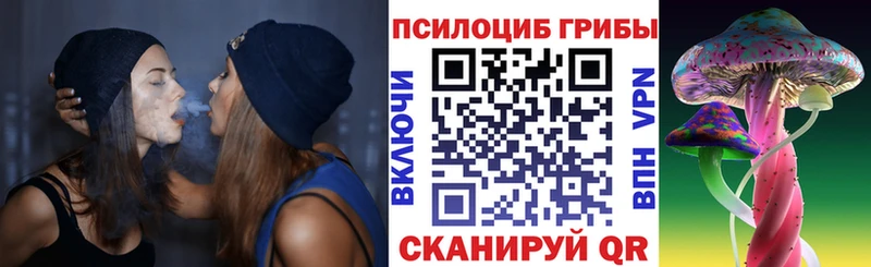 Купить  Клинцы  Псилоцибиновые грибы Psilocybine cubensis 